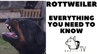 Famous The ROTTWEILER - Everything You need to know! DogcastTV! Wealth