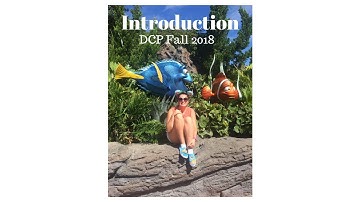 Introduction || DCP Fall 2018