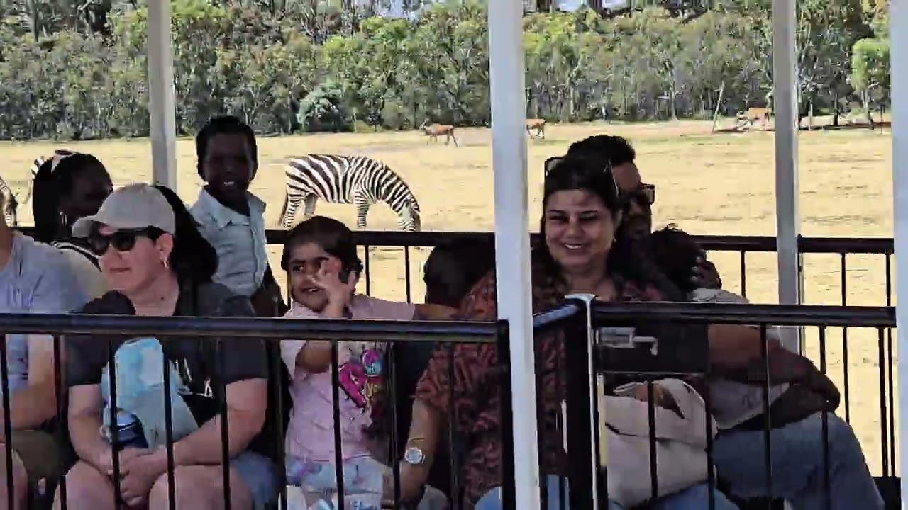 جولة سفاري في حديقة حيوانات وربي Werribee zoo 🌴🫎🦒🐘🦏