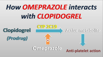 How Omeprazole interacts with Clopidogrel