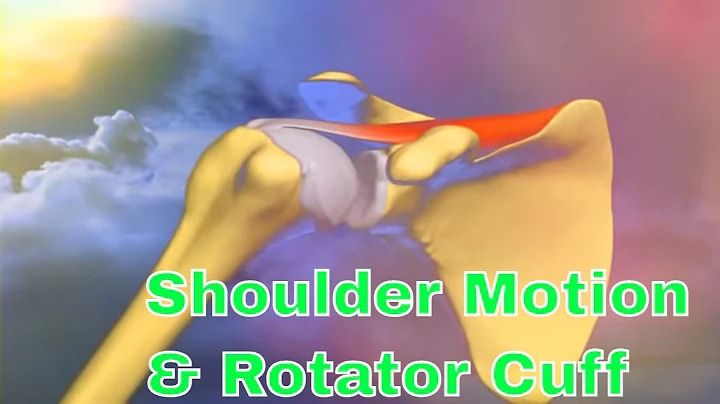 Shoulder Motion & Rotator Cuff Function