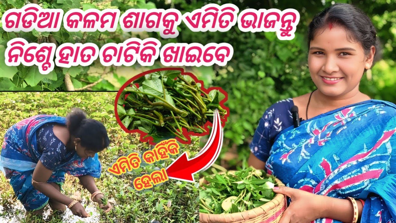 କଳମ ଶାଗ ଏମିତି ଭାଜନ୍ତୁ।। ନିଶ୍ଚେ ହାତ ଚାଟିକି ଖାଇବେ @Rajani_Village_Cooking #cooking #cookingtips 