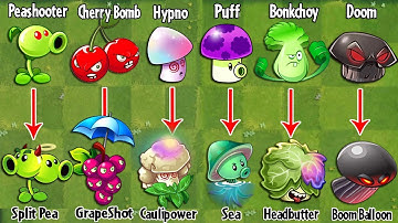 Pvz 2 Discovery - All Plants Have Same Skill Evolution NOOB - PRO