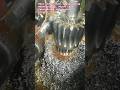 Satisfying Gear Hobbing