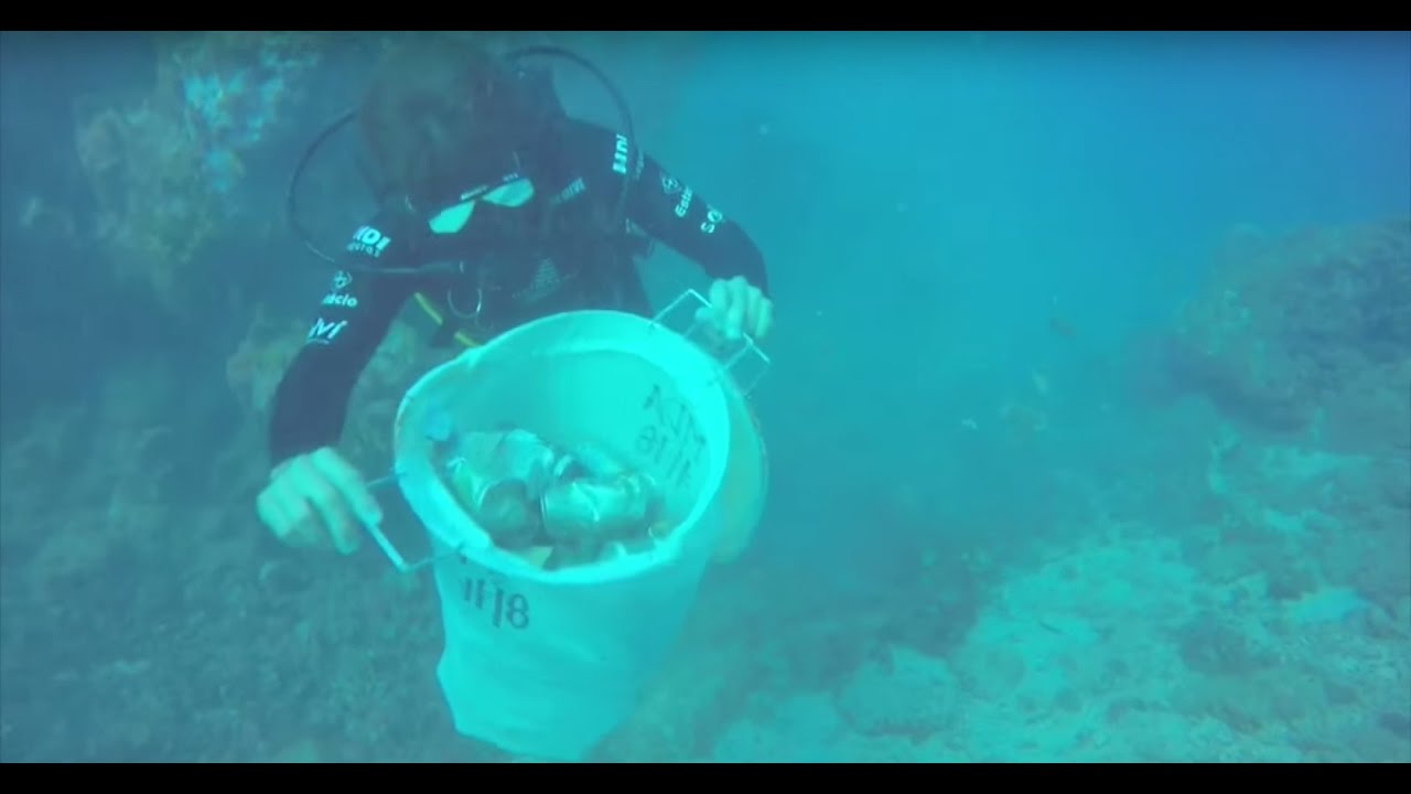 [Vlog] Recolhendo lixo no fundo do mar