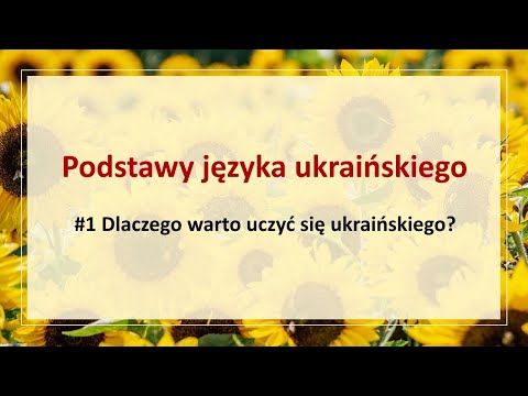 Wideo: Co Zawiera Ukraińska Ustawa O Podstawach Państwowej Polityki Językowej?
