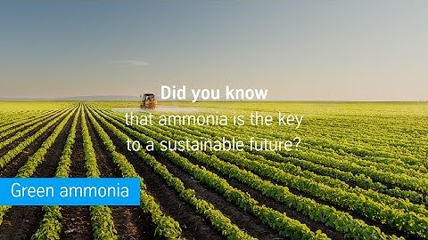 Green ammonia: key to a sustainable future