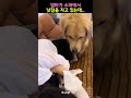 엄마가 소파에서 낮잠을 자고 있는데..