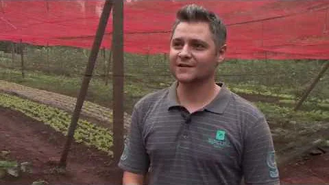 O que caracteriza um produto agrícola como orgânico?