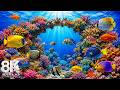 The Ultimate Aquarium Experience 8K 🐠 Stunning Sea Life and Ocean Sounds