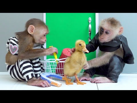 Monkey Baby Milo