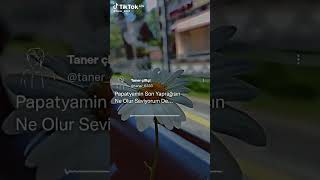 Papatyanın Son Yaprağısın Ne Olur Seviyorum De❤❤😔