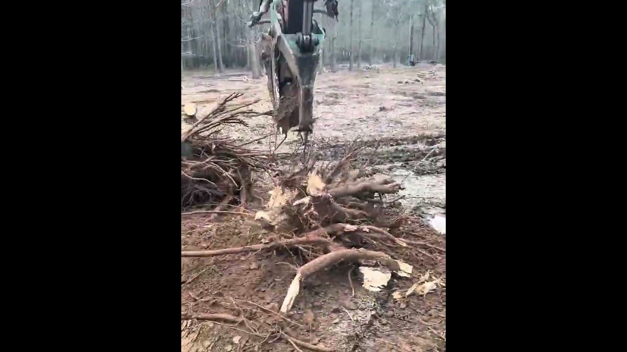 Digging Up Tree Roots for Super Stress Relief.