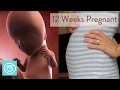 12 Weeks Pregnant: What You Need To Know - Channel Mum