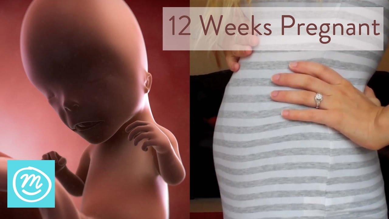 12 Weeks Pregnant: What You Need To Know - Channel Mum ...