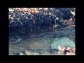 Miniature de la vidéo de la chanson Sparkling Pools