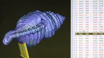 FADO sea shell 3D scan and additive metal manufacturing - DMLS