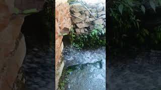 water mill