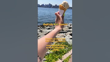 Real Life Bug Reports