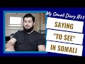 The verb &quot;Arki&quot; In Somali | My Somali Diary #23