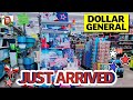 DOLLAR GENERAL🚨 SHOCKING NEW DOLLAR ARRIVALS…MUST WATCH‼️ #dollargeneral #shopping #new 