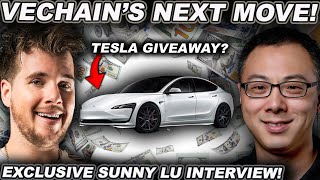VECHAIN'S NEXT MOVE! (Exclusive Sunny Lu Interview - Tesla Giveaway Is LIVE)