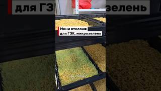 Мини стеллаж для запуска производства кормов