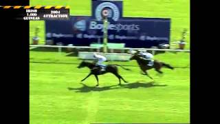 Irish 1000 Guineas Video Vault