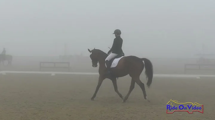 033D Anna Weston Smith on Johnny Royal JR Training...