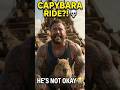 When you’re terrified on a ride, but the capybaras are just chilling. 💀 #shorts #capybara #funny
