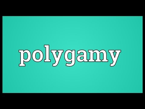 Video: Hvad Betyder En Polygam Mand?