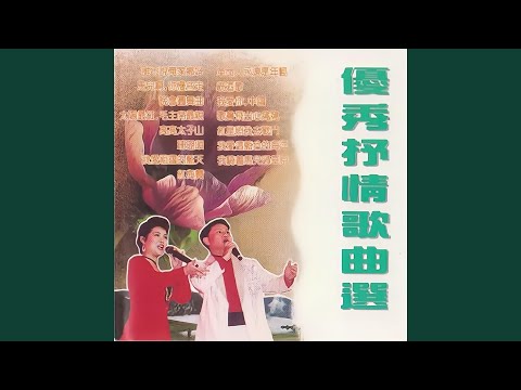 晚会圆舞曲 auf YouTube ansehen