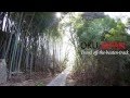 Nakasendo trail the road through the mountains