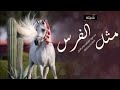 شيلة مثل الفرس بنت ال الطيب 2023 اداء صوت الفخامة متعب الخيل شيلات مثل الفرس بنت ال الطيب 