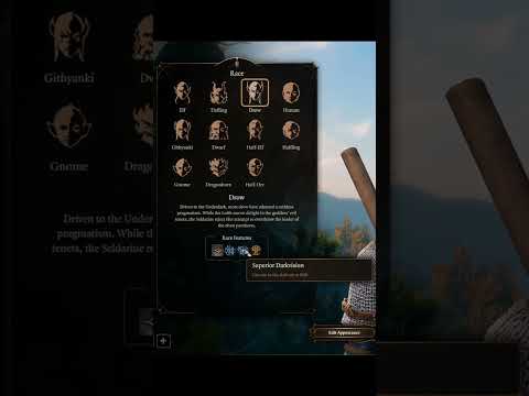 OP BG3 Builds