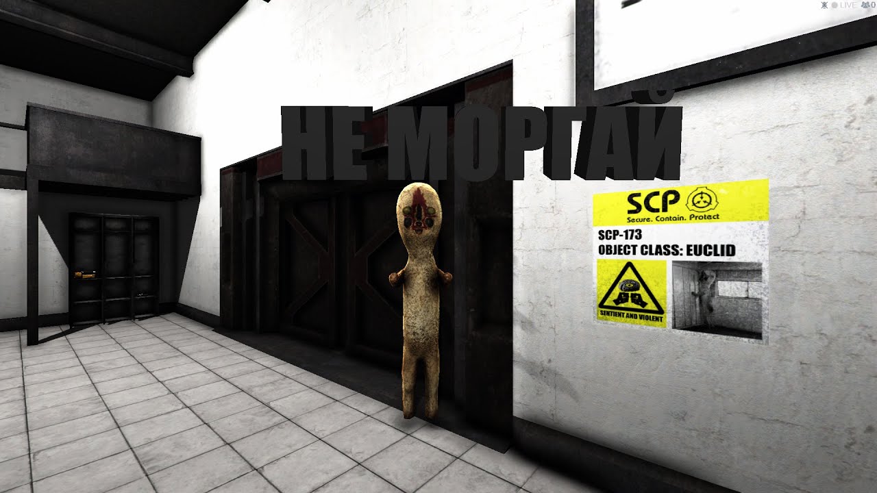 Фонд scp реально существует