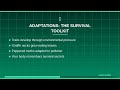 Master Evolution & Natural Selection for NEET 2026 | Free
