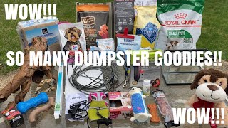 (Dumpster Diving) Five Below, PetSmart, & CVS + Donating!