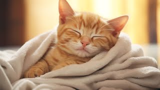 เพลงผ่อนคลายสำหรับแมววิตกกังวล: เสียงผ่อนคลายเพื่อการผ่อนคลายอย่างล้ำลึกและการนอนหลับ