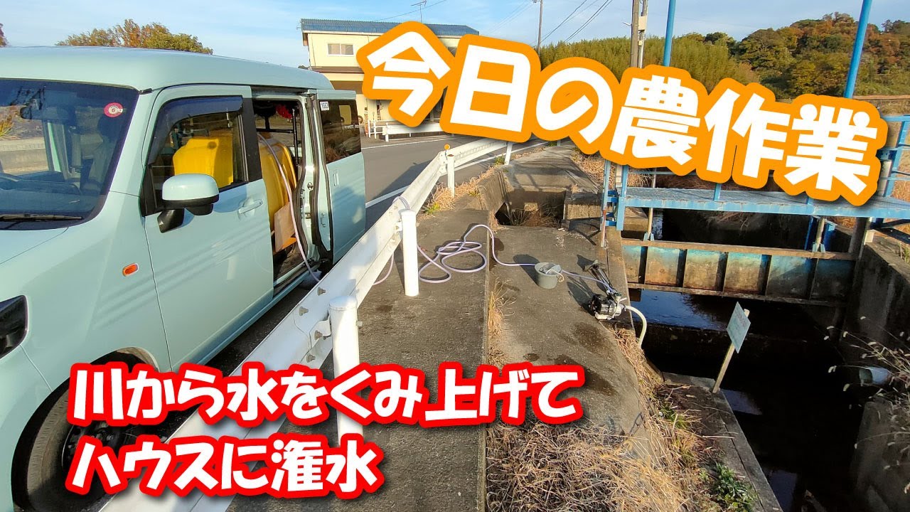 コンパクトな工進エンジンポンプSEV-25L買いました！川から水を 