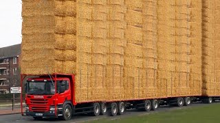 Exciting Farm Adventure Cow Transport Milking Volvo Hay Bales - Amazing WithMe