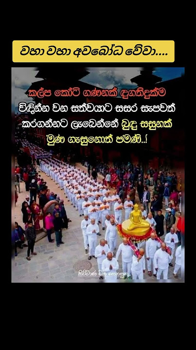 වහා වහා අවබෝධ වේවා....🙏🪷 #motivation #lordbuddha #buddhamotivation #quotes
