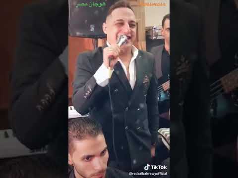 رضا البحراوي شارع الحياه 2020