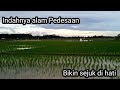 Suasana Pagi Hari Hamparan Sawah Dan Diiringi Instrumental Musik Sunda Bikin Sejuk Mp3 - Mp4 Download