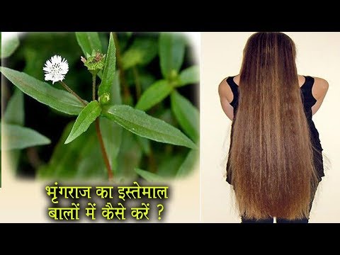 वीडियो: वृक्ष भृंग - उनसे कैसे छुटकारा पाएं?