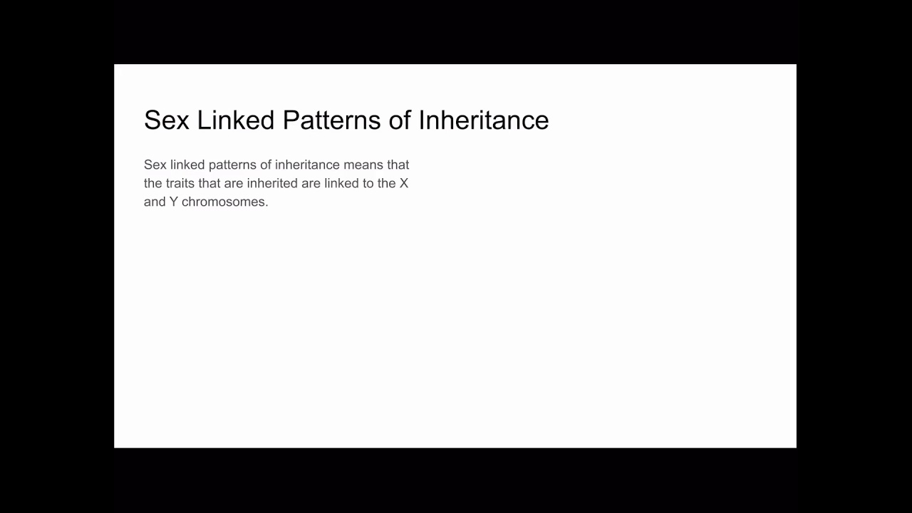 Video #5: Sex Linked Inheritance, Alex Hickey Period 7
