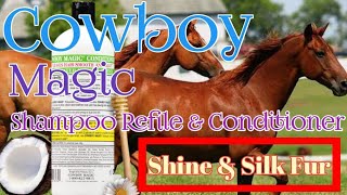 Make Your Horse's Fur A Moisturizer | Shampoo And Conditioner For Glossy Horse Fur | Cowboy Magic Make Your Horse's Fur A Moisturizer | Shampoo And Conditioner For Glossy Horse Fur | Cowboy Magic