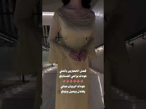 مفصل الخصرين بالملي اسعد البطحري تصميم شيلات
