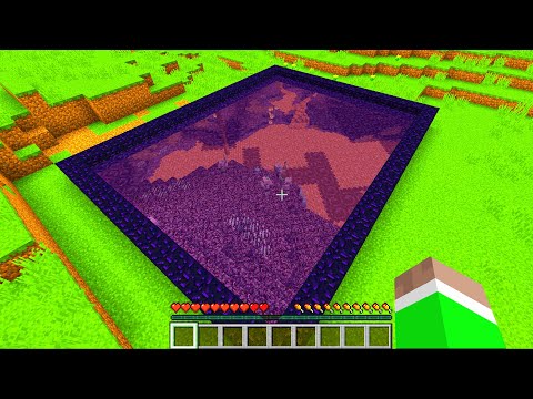 Minecraft But The Portals Are See Through