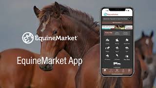 Download EquineMarket Mobile App Now To Stay Buy & Sell Horses Even On The Go screenshot 2